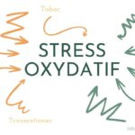 le stress oxydatif peut venir de facteurs externes ou de facteurs internes