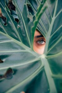 oeil regardant à travers la nature