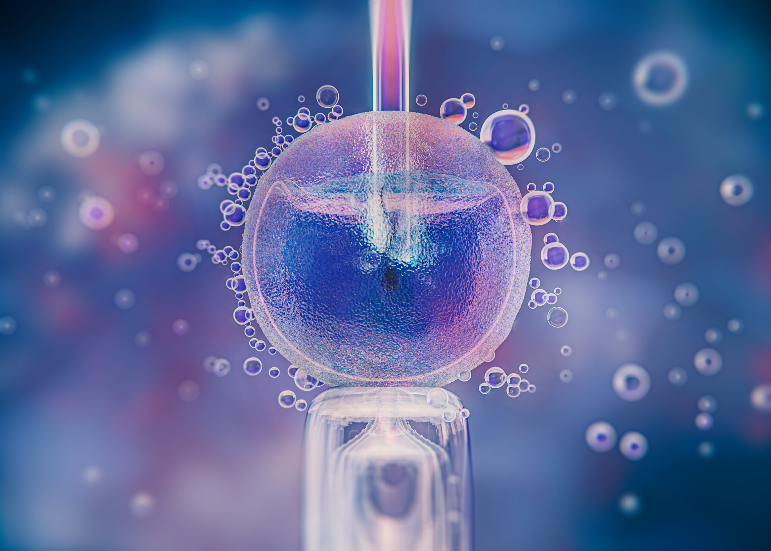 Fécondation in vitro
